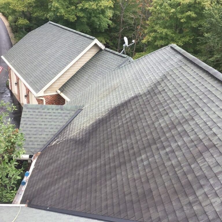 soft washing company